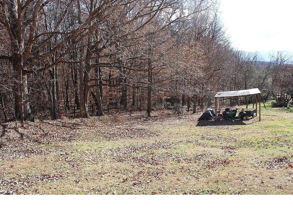 235 Rector Lane Limestone, TN 37681 - Photo 39 of 62 Untitled39