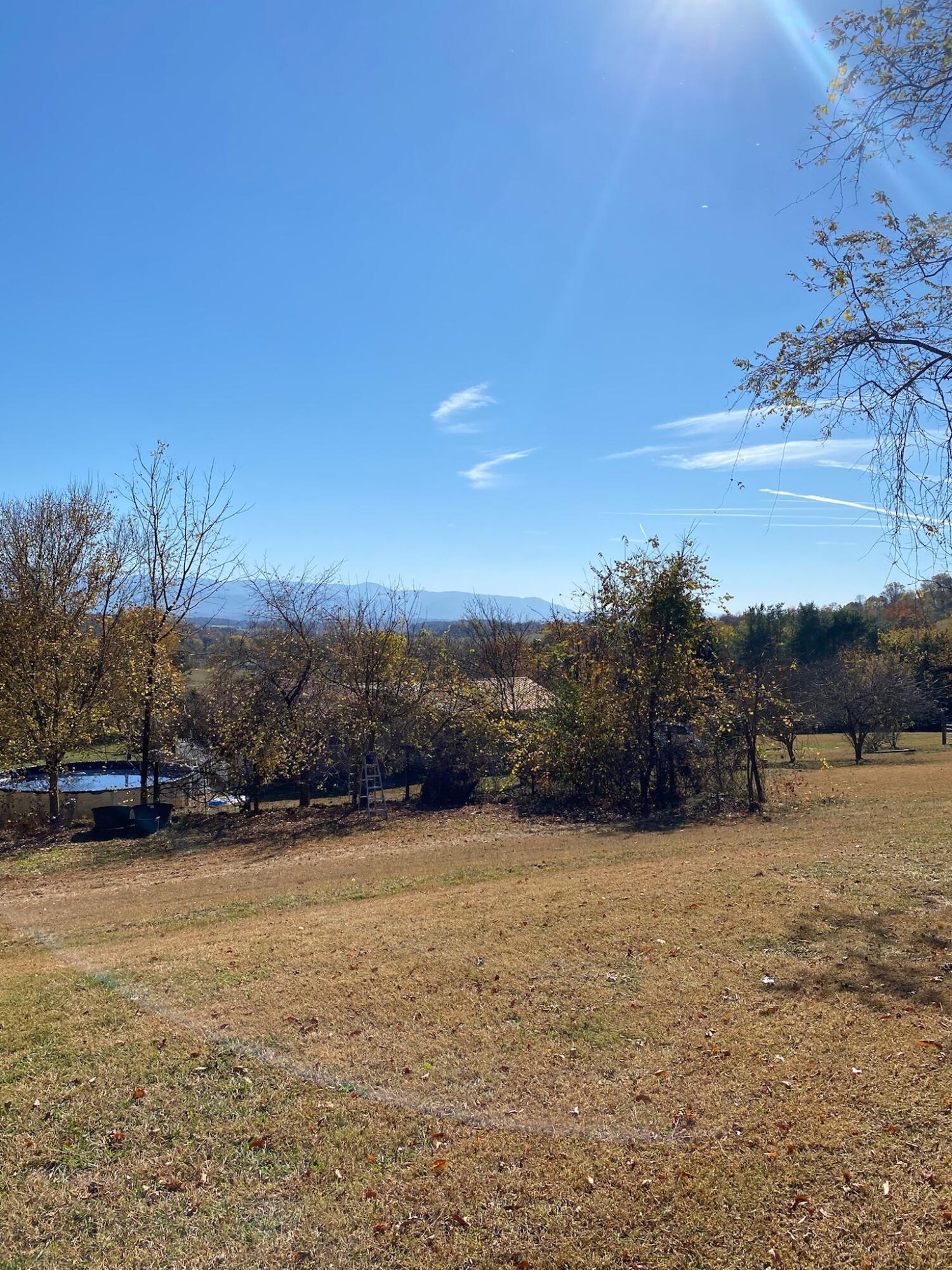 235 Rector Lane Limestone, TN 37681 - Photo 51 of 62 IMG_4104