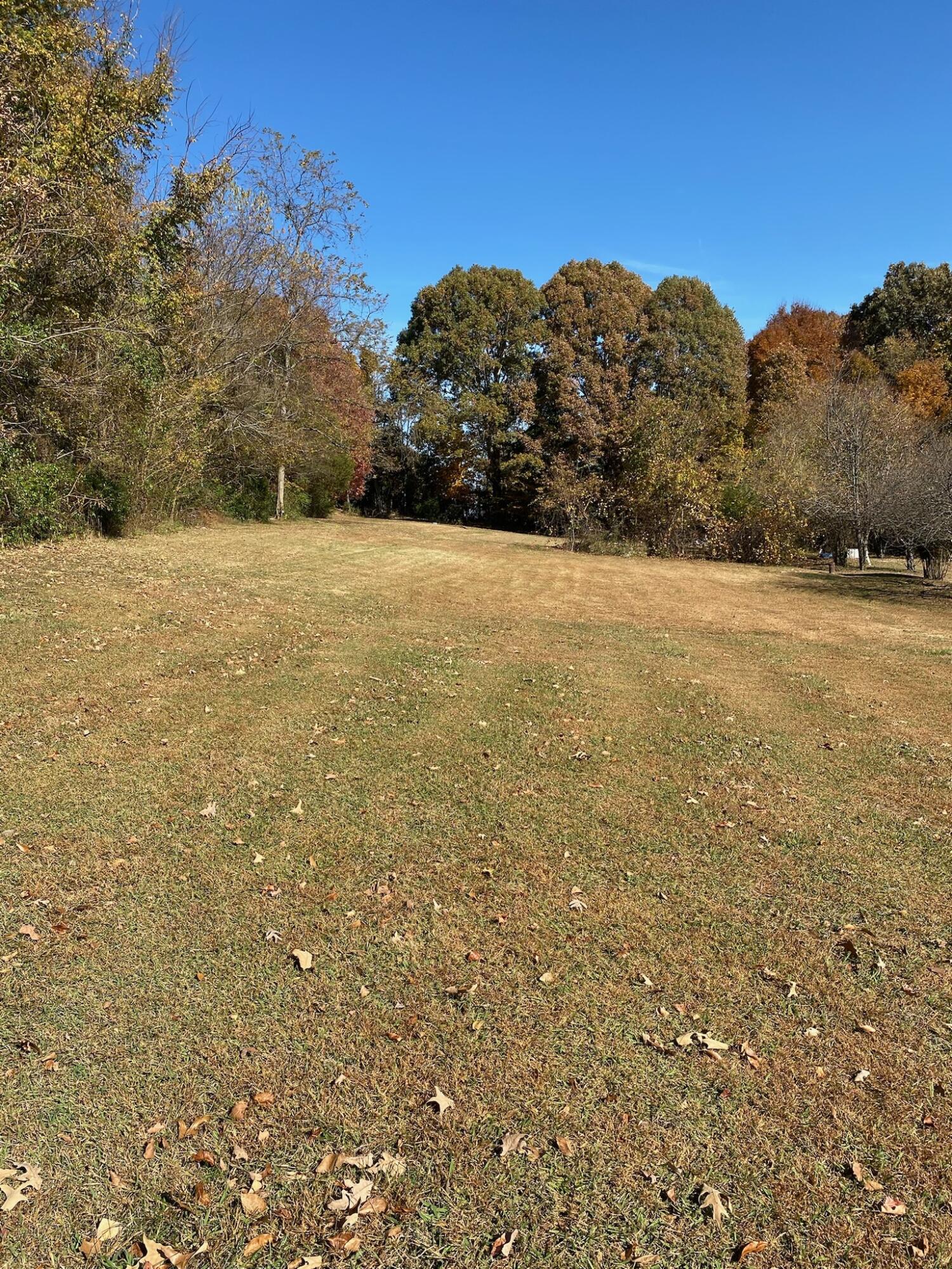 235 Rector Lane Limestone, TN 37681 - Photo 54 of 62 IMG_4098