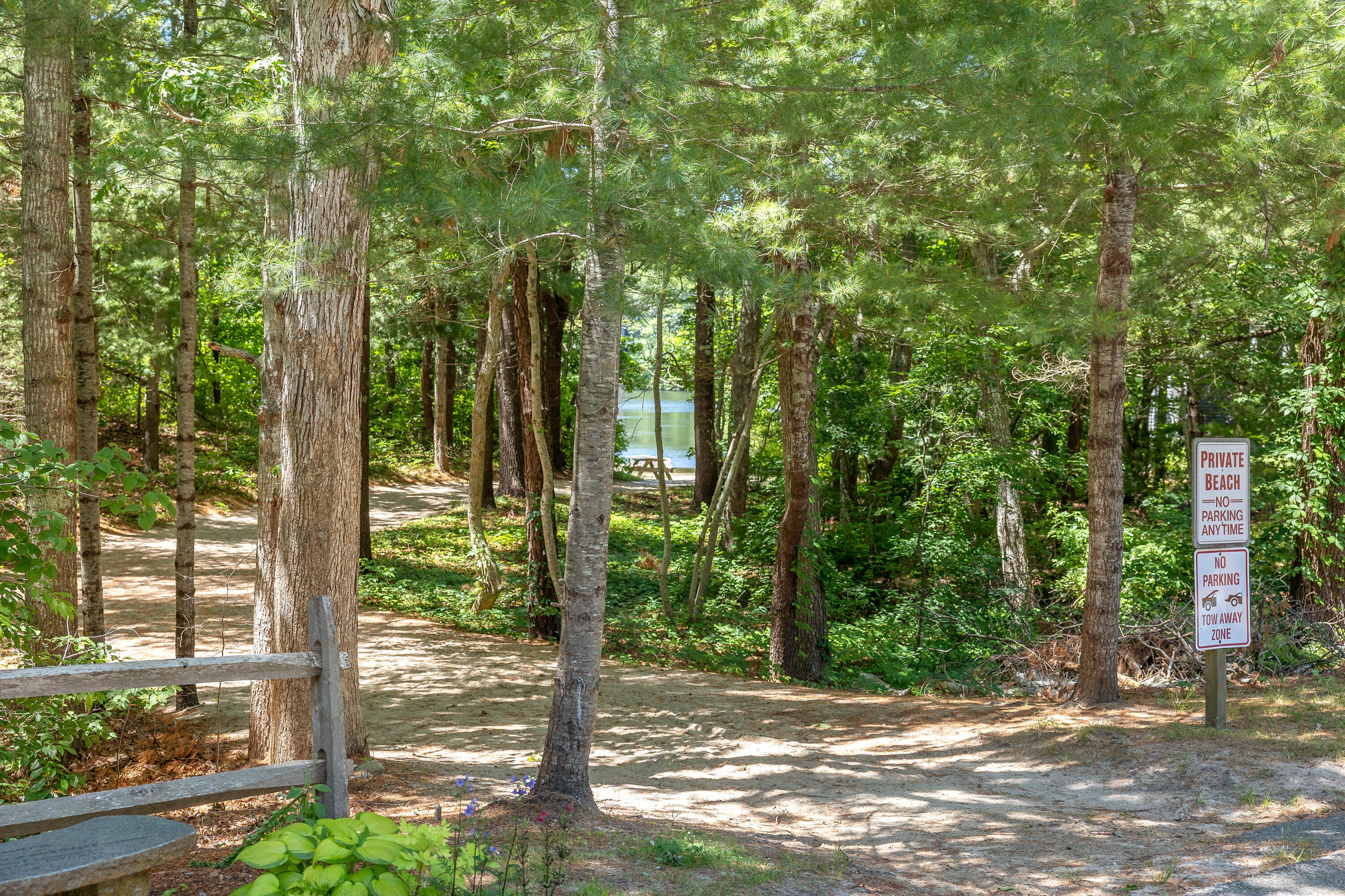 193 Fells Pond Road Mashpee, MA 02649 - Photo 29 of 33 a view of a tree in a yard