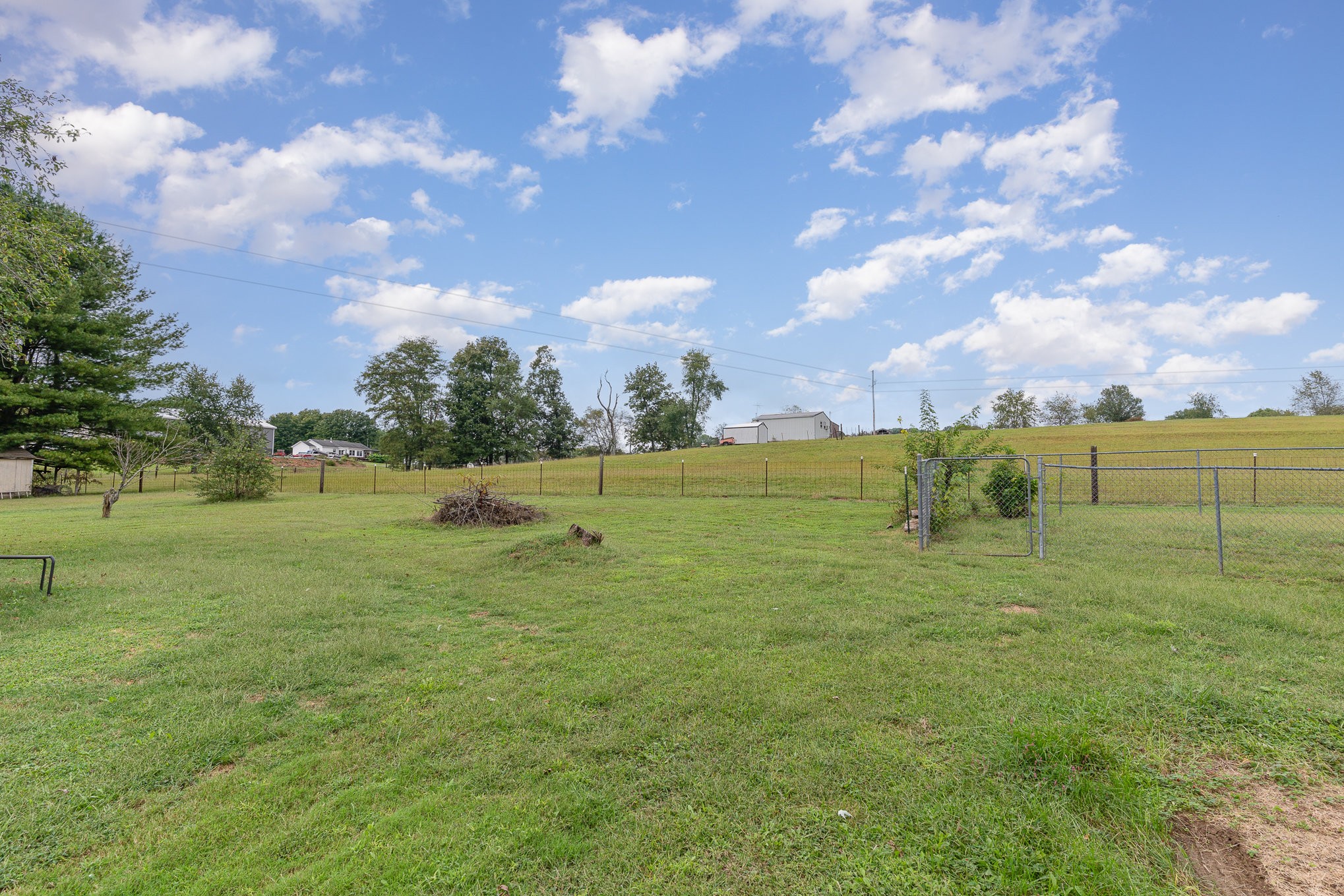 3831 Armstrong Road Springfield, TN 37172 - Photo 30 of 30 a view of a field with an trees