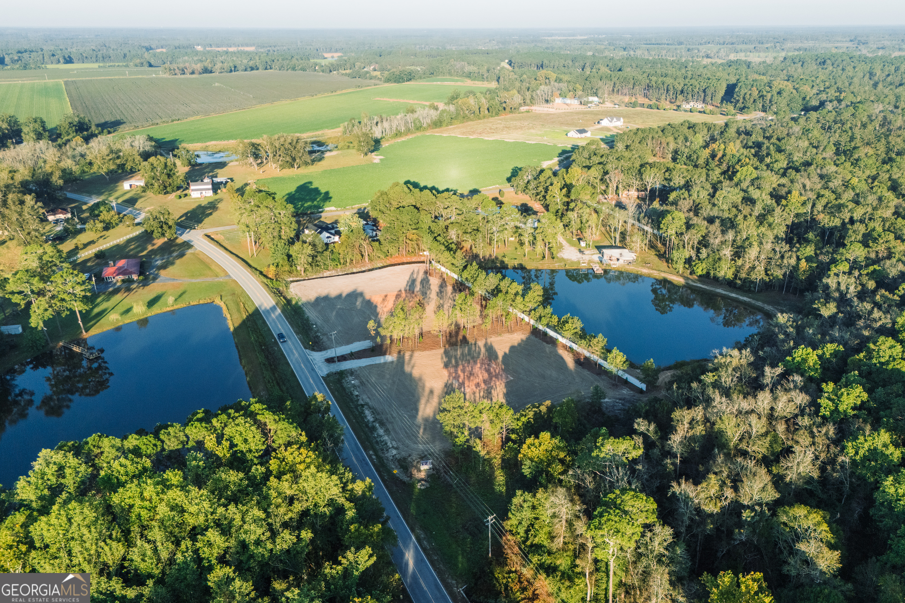 Lot 3 Pulaski Road Statesboro, GA 30458 - Photo 12 of 20