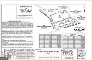 Lot 3 Pulaski Road Statesboro, GA 30458 - Photo 6 of 20