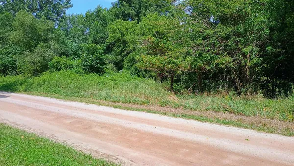 $36,900 | 982 Stanton Road, Sherwood, MI 49089
