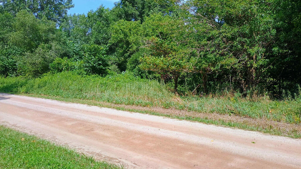 982 Stanton Road Sherwood, MI 49089 - Photo 16 of 35 16