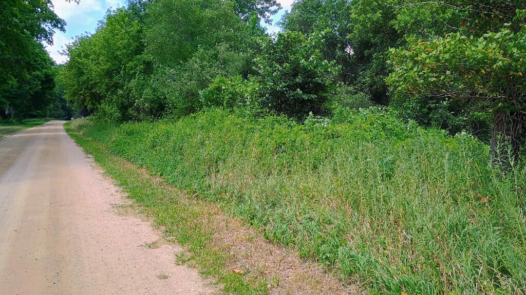 982 Stanton Road Sherwood, MI 49089 - Photo 17 of 35 17