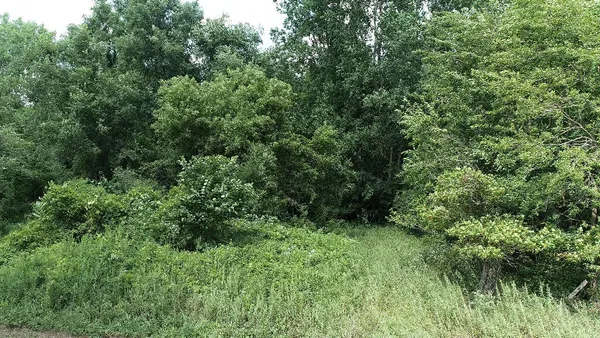 $36,900 | 982 Stanton Road, Sherwood, MI 49089