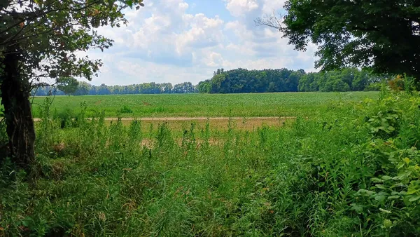 $36,900 | 982 Stanton Road, Sherwood, MI 49089