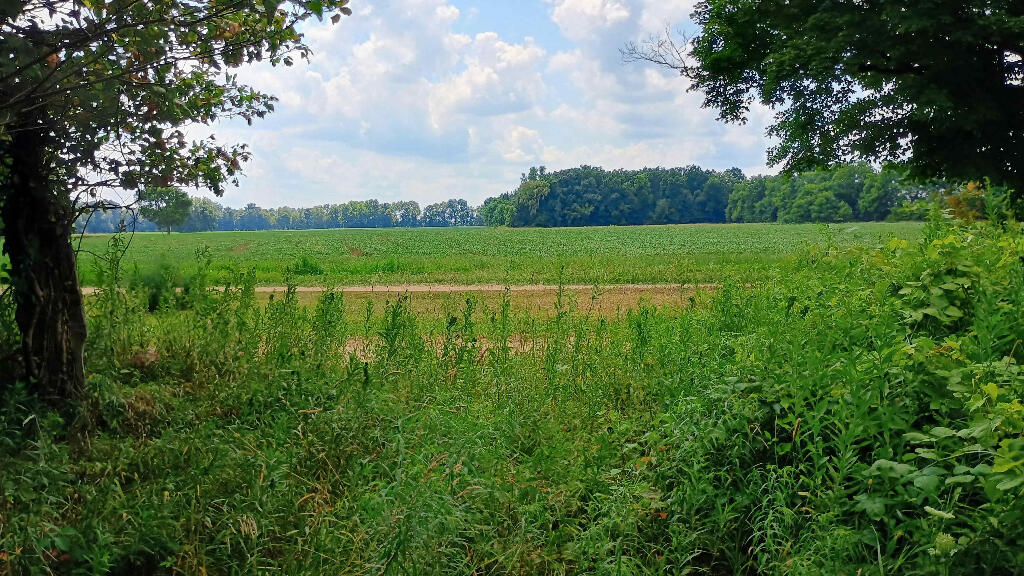 982 Stanton Road Sherwood, MI 49089 - Photo 19 of 35 19