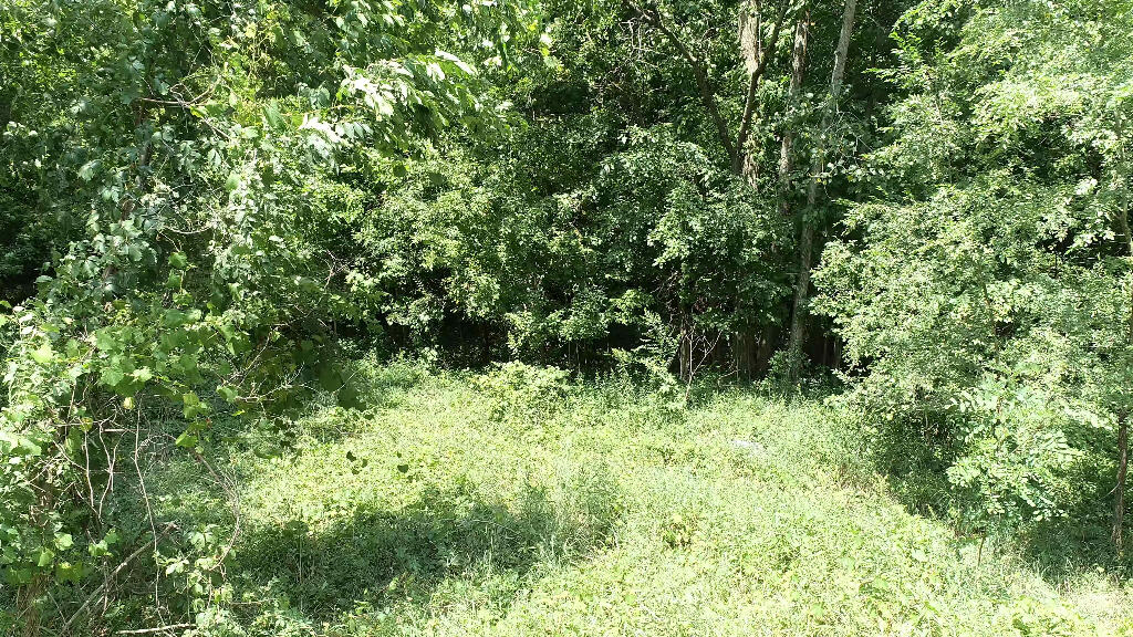 982 Stanton Road Sherwood, MI 49089 - Photo 20 of 35 20