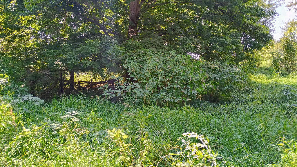 982 Stanton Road Sherwood, MI 49089 - Photo 27 of 35 27