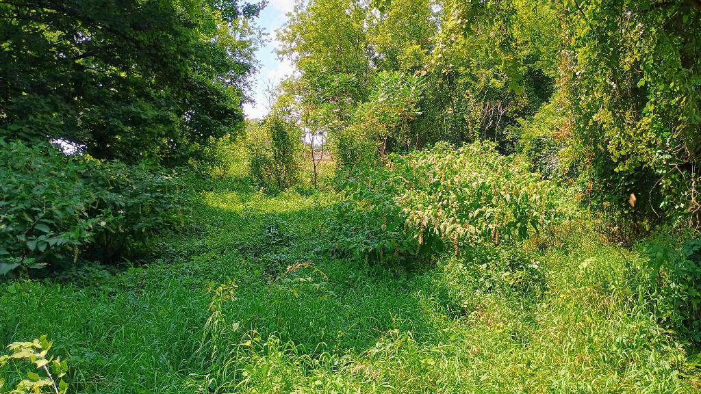 982 Stanton Road Sherwood, MI 49089 - Photo 28 of 35 28