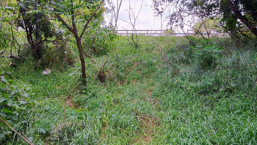 982 Stanton Road Sherwood, MI 49089 - Photo 29 of 35 29