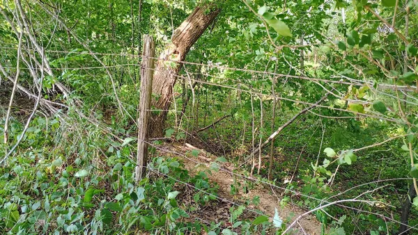 $36,900 | 982 Stanton Road, Sherwood, MI 49089