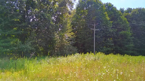 $36,900 | 982 Stanton Road, Sherwood, MI 49089