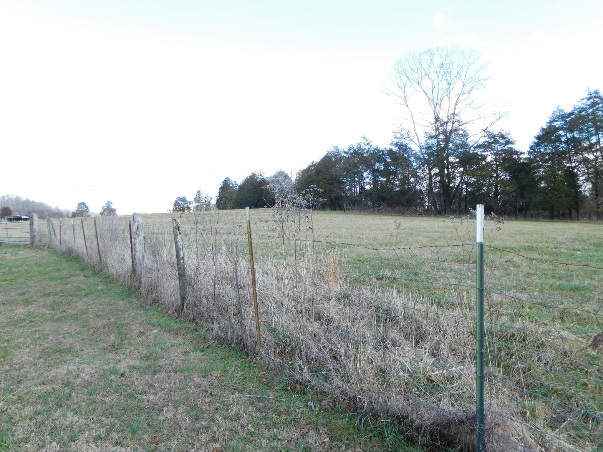 280 Gene Gray Road Monticello, KY 42633 - Photo 39 of 71 DSCI0382