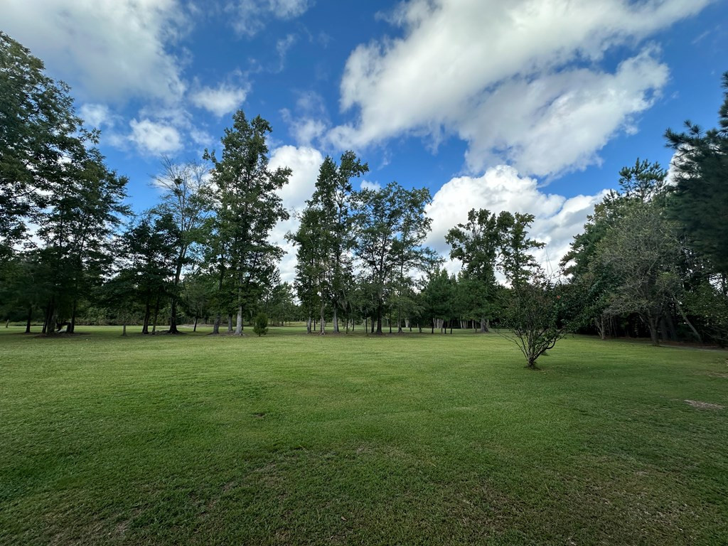 3066 Seloc Road Turbeville, SC 29162 - Photo 24 of 42 Gallery Image 24