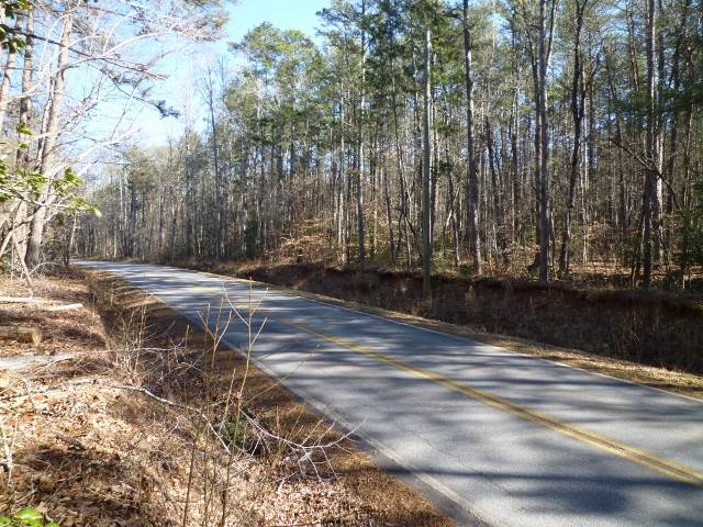 Lot 11 Dynamite Road, Unit LOT 11 DYNAMITE RD Salem, SC 29676 - Photo 2 of 6 Gallery Image 2