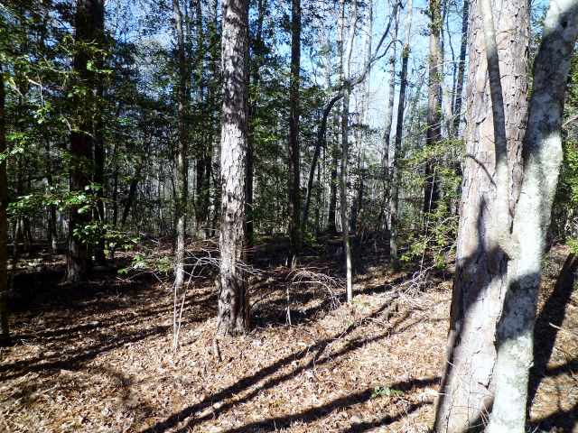 Lot 11 Dynamite Road, Unit LOT 11 DYNAMITE RD Salem, SC 29676 - Photo 3 of 6 Gallery Image 3