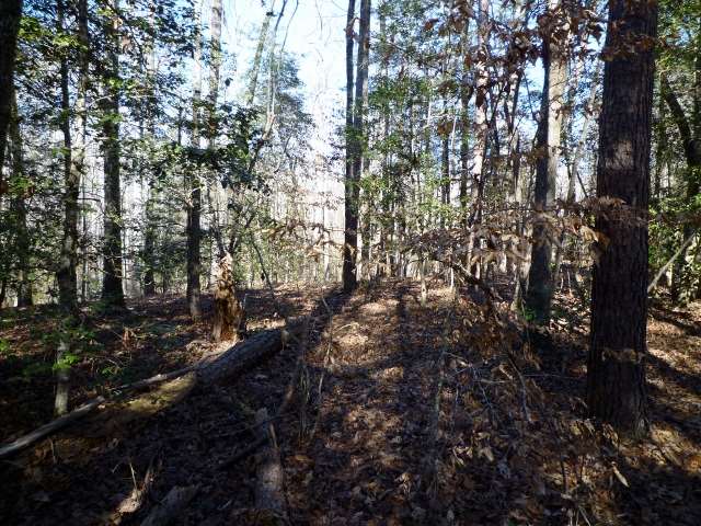 Lot 11 Dynamite Road, Unit LOT 11 DYNAMITE RD Salem, SC 29676 - Photo 4 of 6 Gallery Image 4