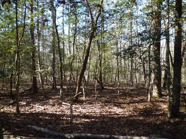 Lot 11 Dynamite Road, Unit LOT 11 DYNAMITE RD Salem, SC 29676 - Photo 5 of 6 Gallery Image 5