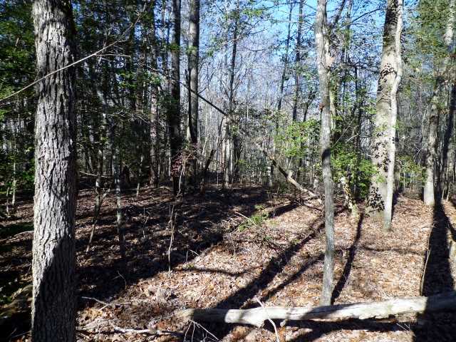Lot 11 Dynamite Road, Unit LOT 11 DYNAMITE RD Salem, SC 29676 - Photo 6 of 6 Gallery Image 6