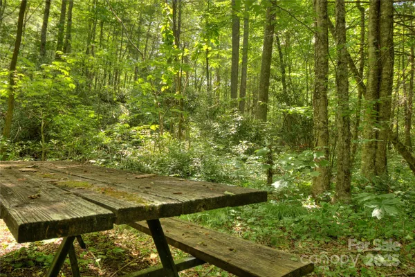 $85,000 | 0 Golden Trout Drive, Unit 48&49, Spruce Pine, NC 28777