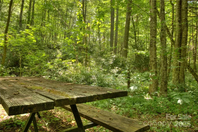 $85,000 | 0 Golden Trout Drive, Unit 48&49, Spruce Pine, NC 28777