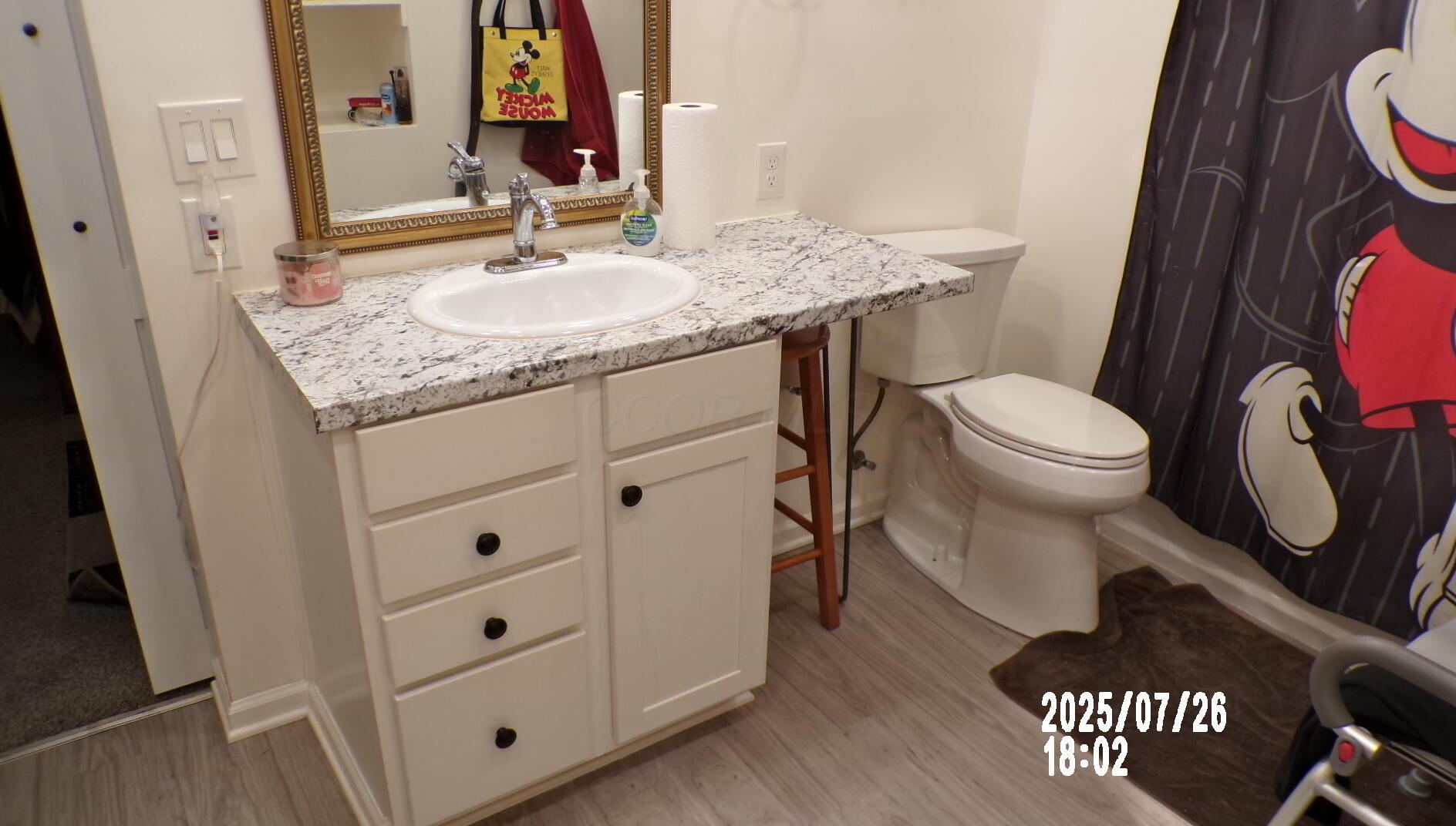 12764 Cleo Road Orient, OH 43146 - Photo 17 of 31 Primary Bath