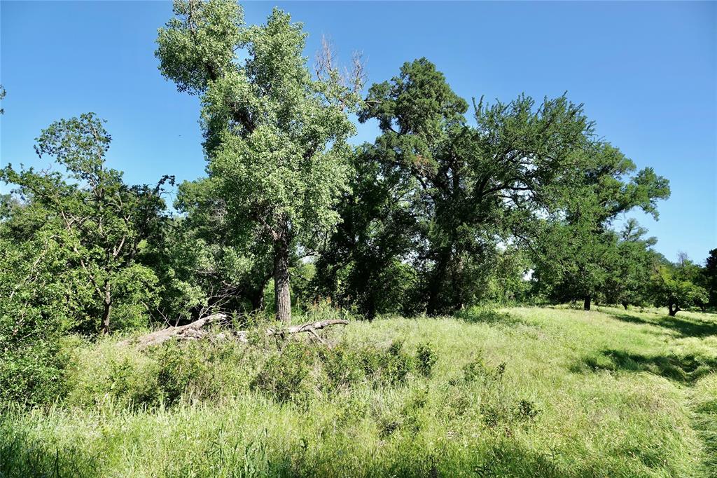 588 County Road 430 Mullin, TX 76864 - Photo 20 of 40