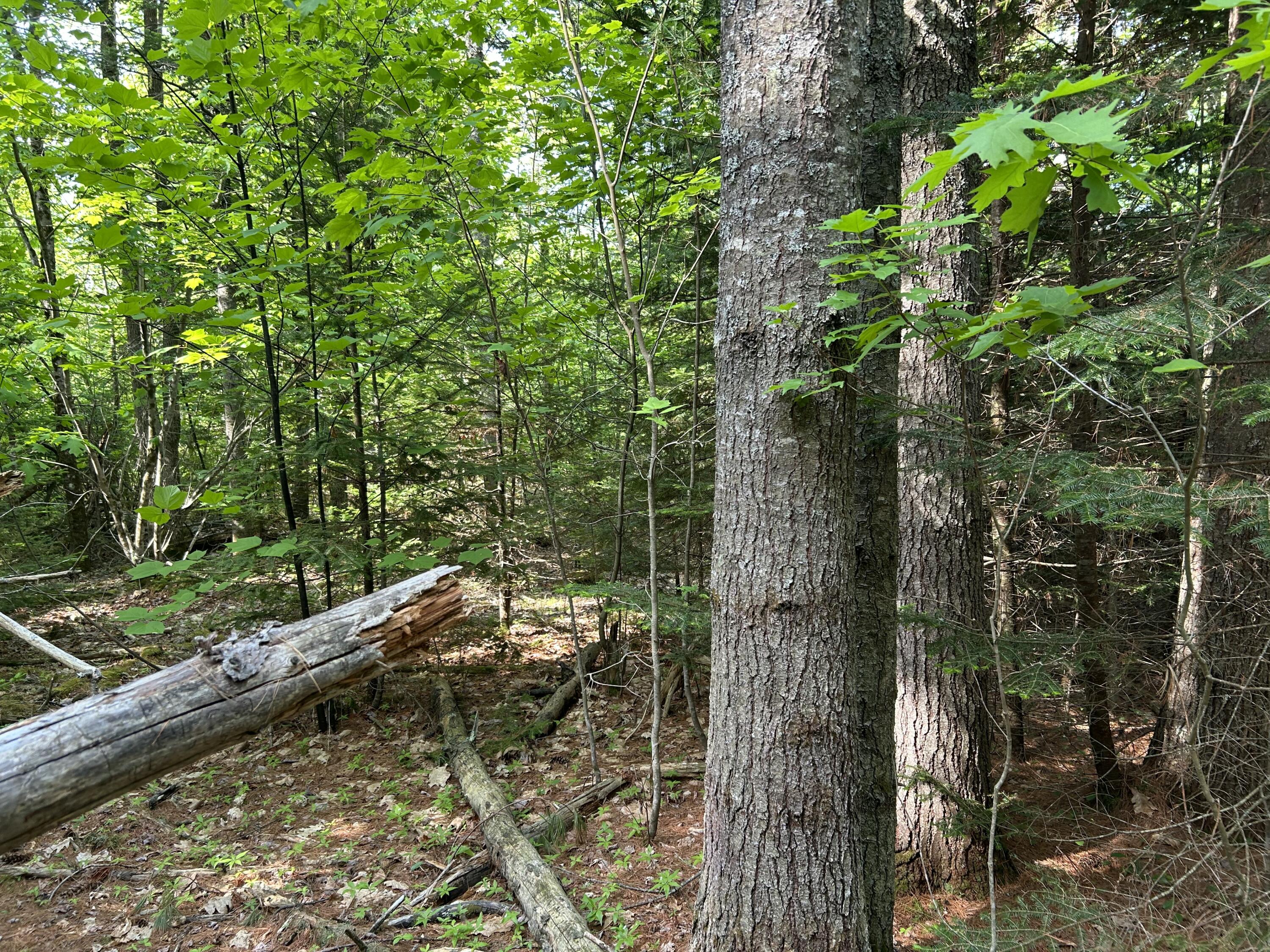 M5-l13 Clark Road Prospect, ME 04981 - Photo 9 of 33 IMG_8796