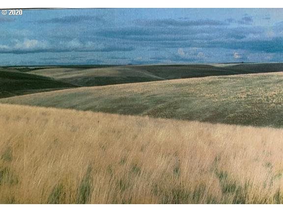 Theater Road Pendleton, OR 97801 - Photo 3 of 7