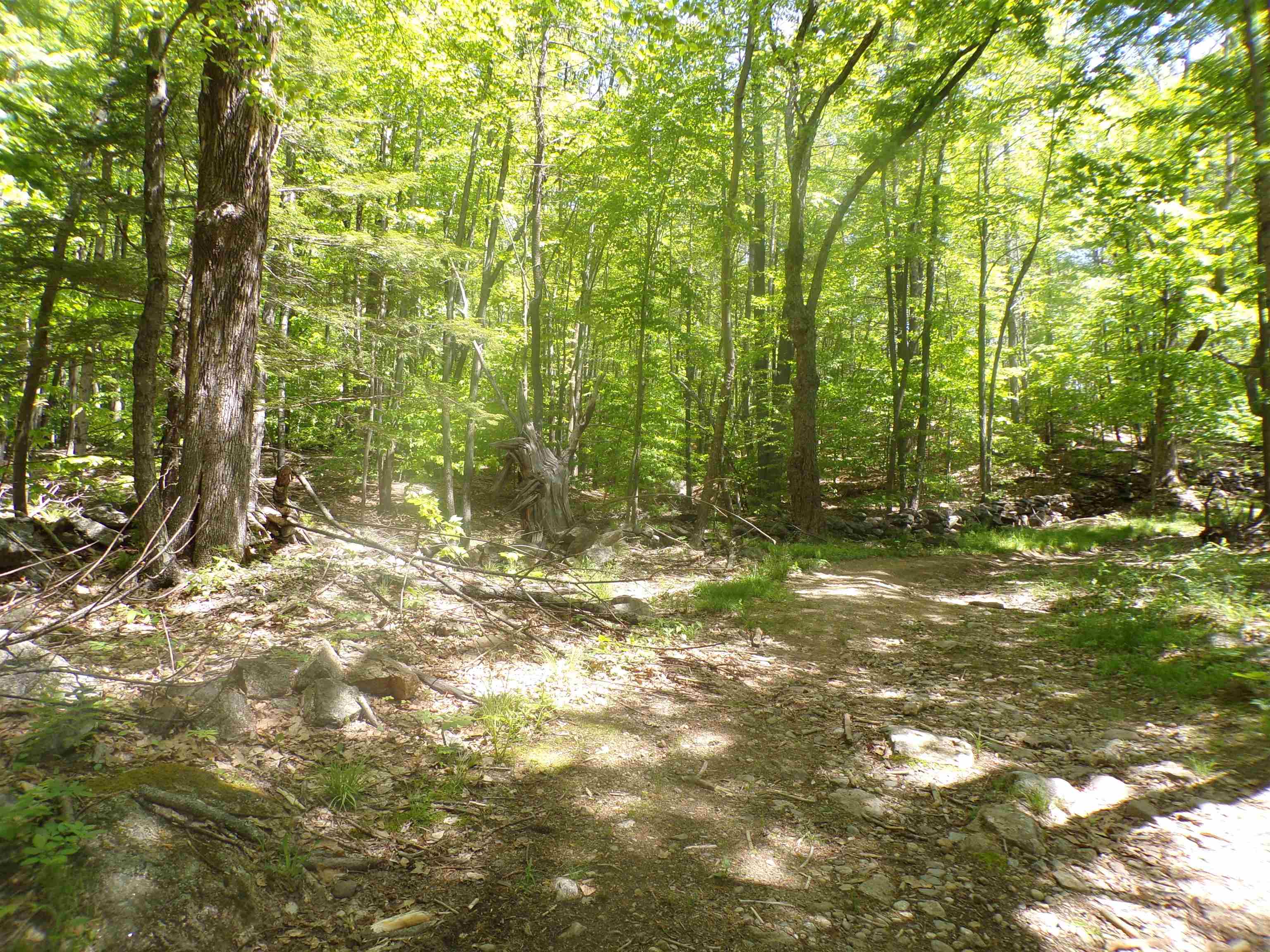 67 Johnson Road Pittsfield, NH 03263 - Photo 4 of 12