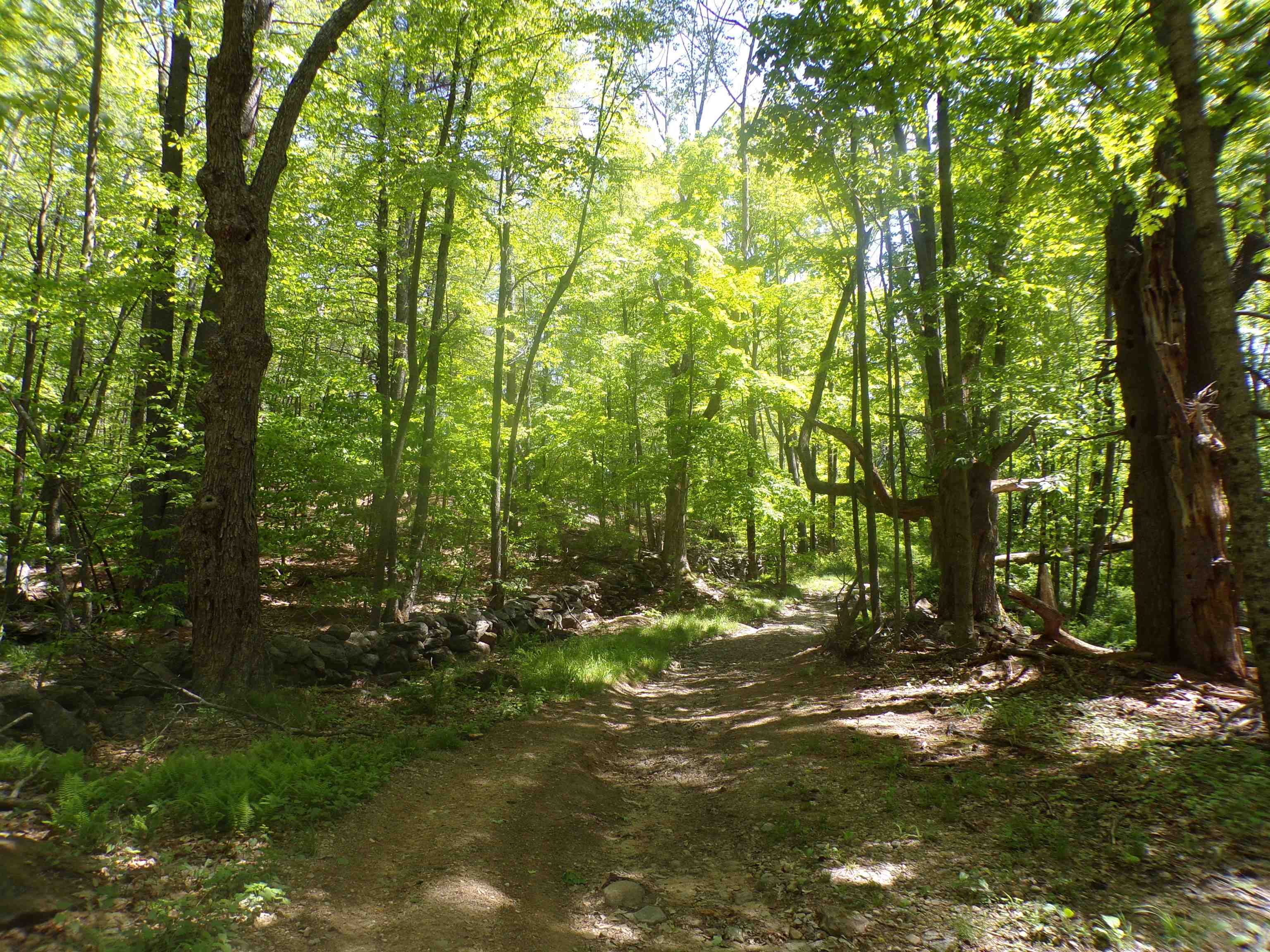 67 Johnson Road Pittsfield, NH 03263 - Photo 6 of 12