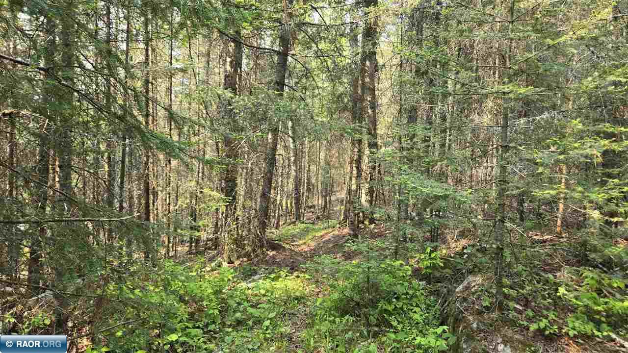 11.85 Bessette Road Orr, MN 55771 - Photo 38 of 50
