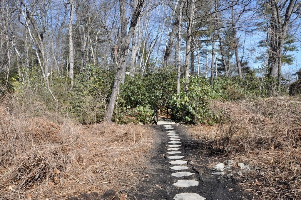 5 Fernway Winchester, MA 01890 - Photo 40 of 42