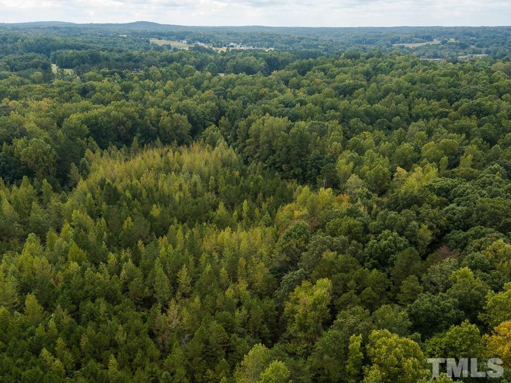 1 Country Club Road Roxboro, NC 27574 - Photo 18 of 29 a view of a forest with a street