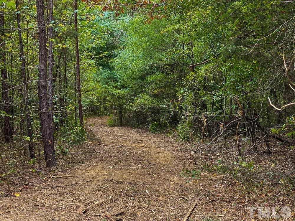 1 Country Club Road Roxboro, NC 27574 - Photo 23 of 29 a view of a forest with trees
