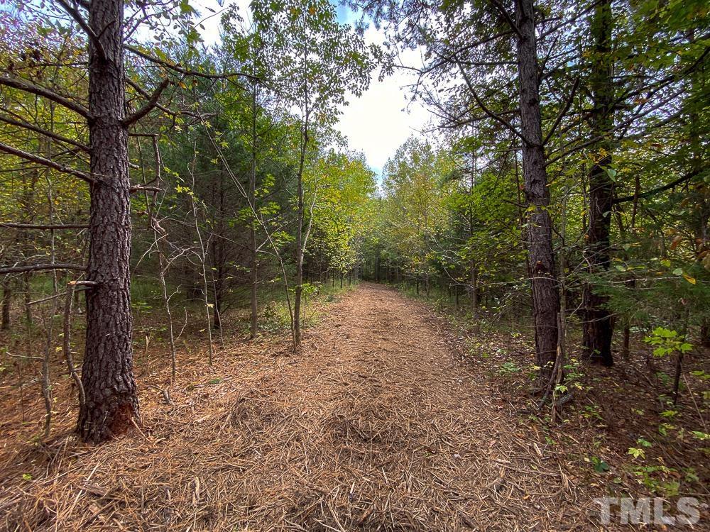 1 Country Club Road Roxboro, NC 27574 - Photo 26 of 29 a view of a lake with a tree