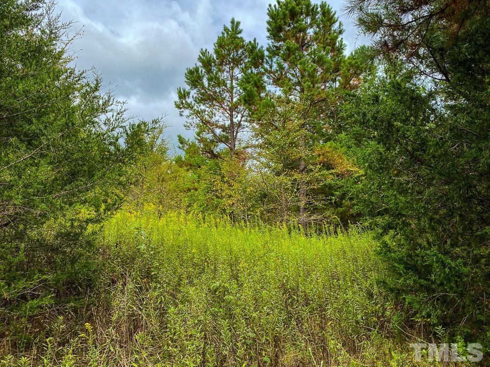 1 Country Club Road Roxboro, NC 27574 - Photo 28 of 29 a view of a garden
