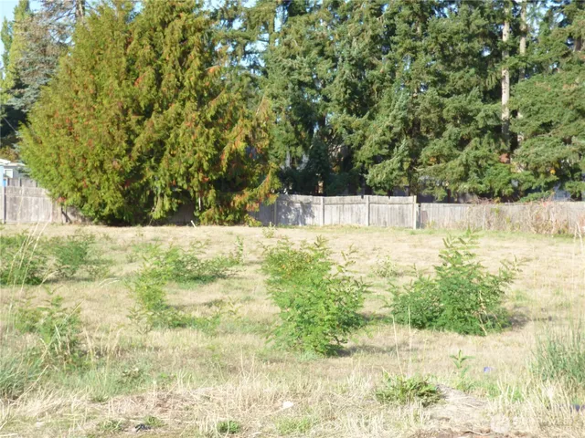 a view of yard with large trees