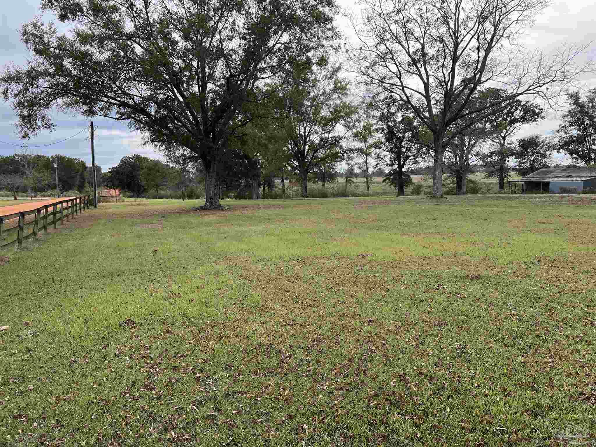 3470 Woods Road Atmore, AL 36502 - Photo 4 of 39