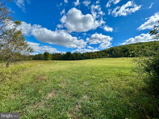 a view of a lake and green space