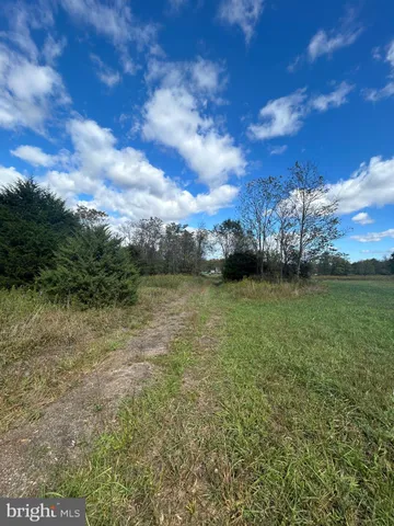 a view of a garden with an tree