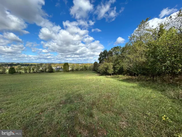 a view of an outdoor space and a yard