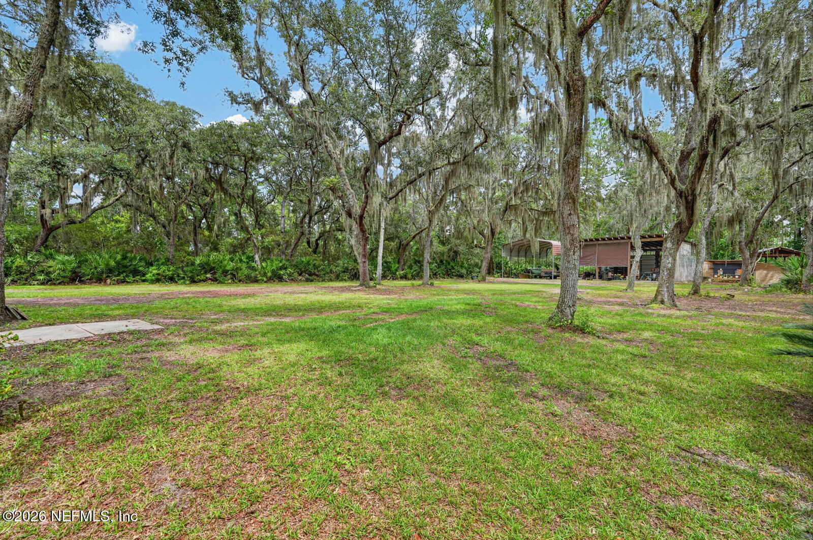 5655 Capo Island Road St. Augustine, FL 32095 - Photo 50 of 57 CI Yard 5