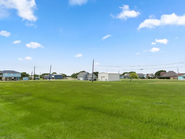 a view of a park with large trees