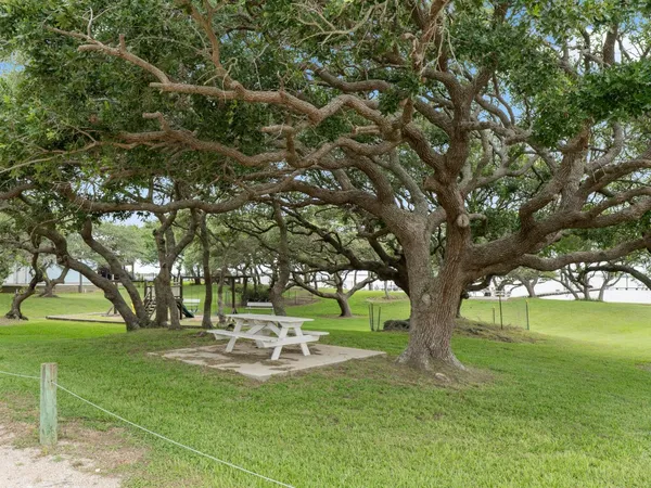 a view of a park with large trees