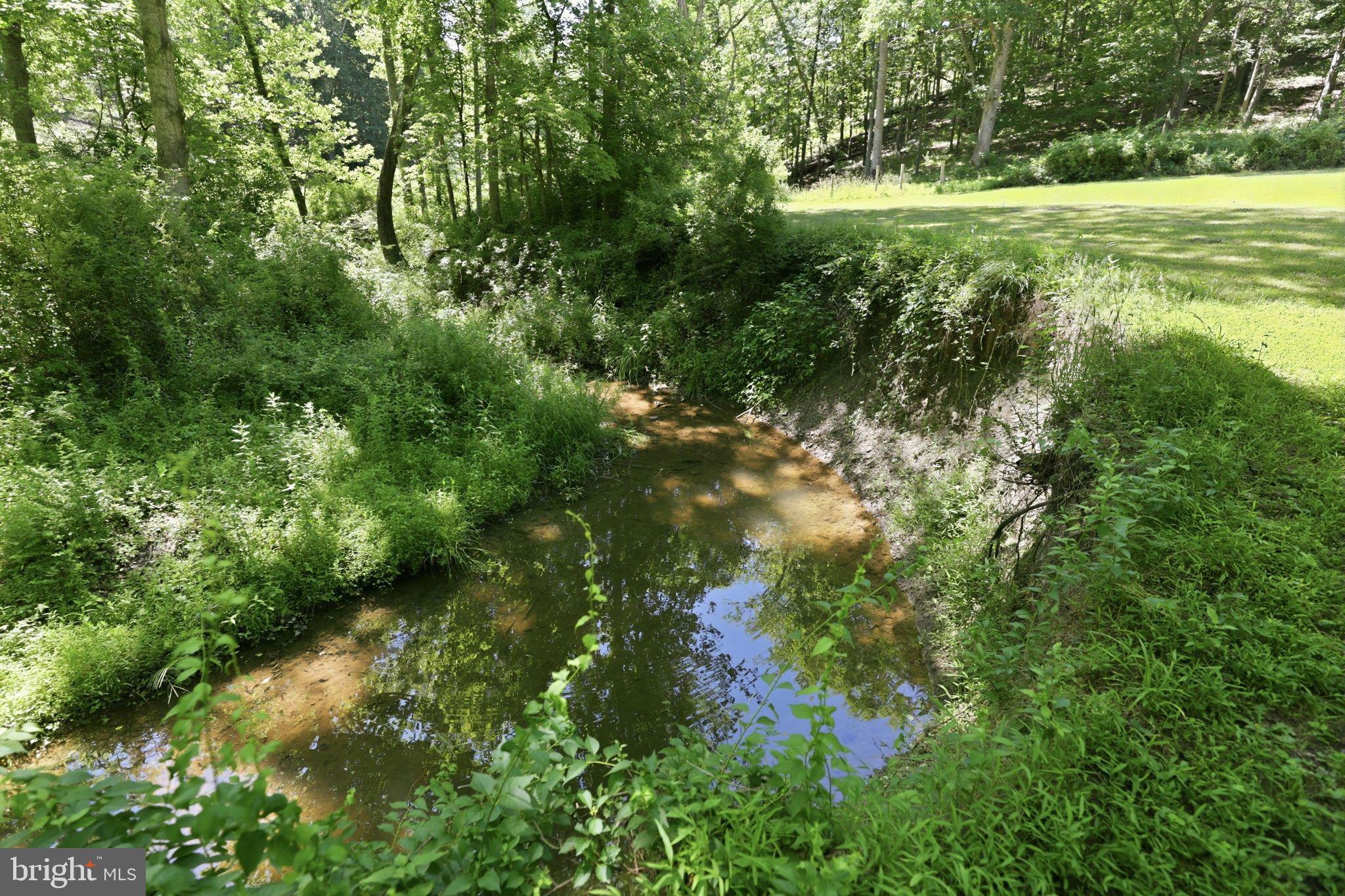 12340 Kingsley Road Clarksburg, MD 20871 - Photo 11 of 19 Meandering creeks sprinkled throughout the propert