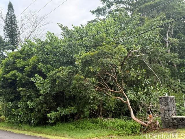 15-1611 Beach Road Keaau, HI 96749 - Photo 2 of 12